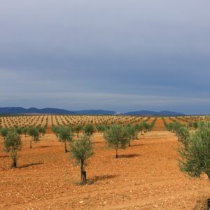Andalusien Okt 2015