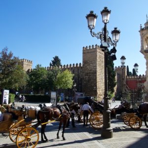 Andalusien Okt 2015