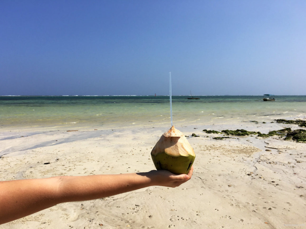 Kenia-Mombasa 2015-2016