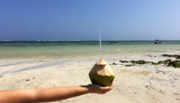 Kenia-Mombasa 2015-2016 Kenia-Mombasa 2015-2016