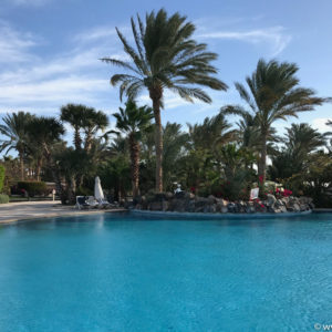 Marsa Alam Dez 2016