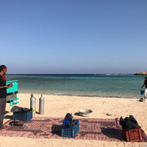 Marsa Alam Dez 2016