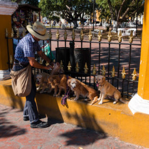 Mexico Feb 2017
