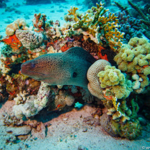 Hurghada 2017