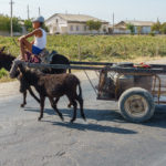 Usbekistan Sept 2017