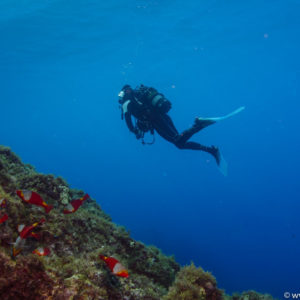 Gozo Sept-Okt 2017