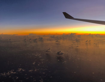 Die Heimreise erfolgte wie die Anreise
Nadi - Hongkong 11 Std. Wartezeit 10 Std.
Hongkong - Frankfurt 12 Std.
Frankfurt - Wien 1,5 Std.