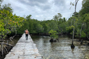Raja Ampat Juni 2019