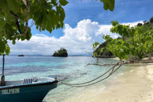 Raja Ampat Juni 2019