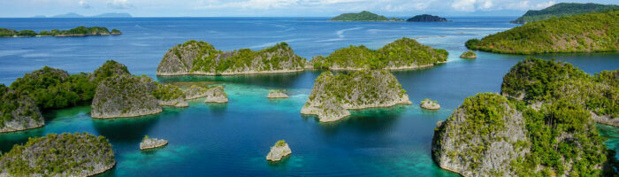 Raja Ampat Juni 2019 Raja Ampat Juni 2019