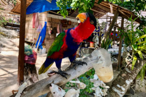Raja Ampat Juni 2019