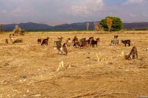Jordanien Nov 2019