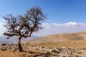 Jordanien Nov 2019