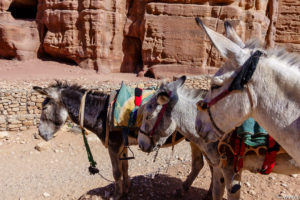 Jordanien Nov 2019