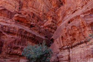 Jordanien Nov 2019