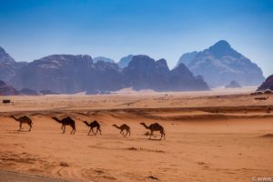 Jordanien Nov 2019