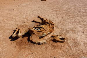 Jordanien Nov 2019