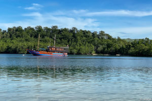 Sulawesi Maerz 2020