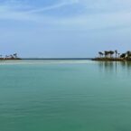 IMG_2654 IMG_2654