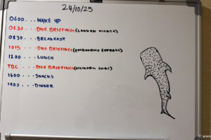 2025-10-23_19-05-51 2025-10-23_19-05-51