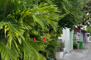 2025-10-26_17-30-49 2025-10-26_17-30-49