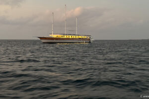 2025-10-26_18-10-28 2025-10-26_18-10-28