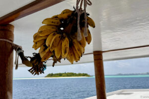 2025-10-29_10-30-10 2025-10-29_10-30-10