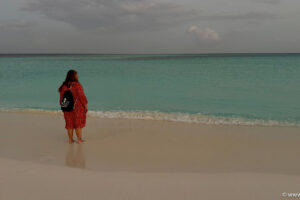 2025-10-29_18-01-43 2025-10-29_18-01-43