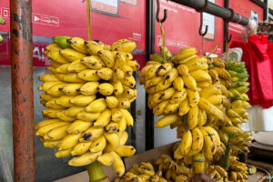 2025-10-31_16-34-34 2025-10-31_16-34-34