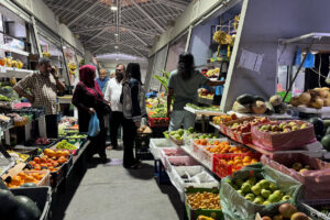 2025-10-31_17-27-22 2025-10-31_17-27-22