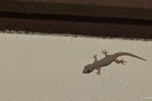 2025-11-02_18-54-16 2025-11-02_18-54-16