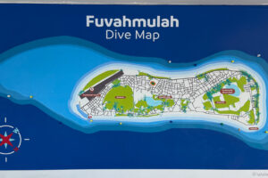 2025-11-03_08-19-38 2025-11-03_08-19-38