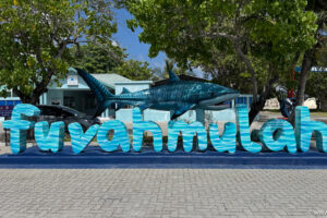 2025-11-03_10-14-13 2025-11-03_10-14-13