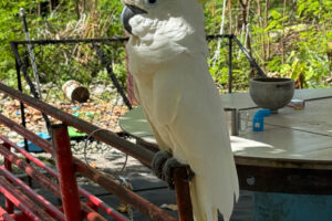 2025-11-03_14-00-38 2025-11-03_14-00-38