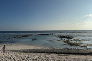 2025-11-03_16-43-35 2025-11-03_16-43-35