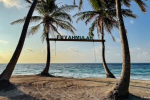 2025-11-03_16-54-31 2025-11-03_16-54-31