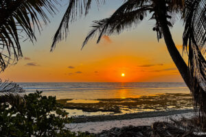 2025-11-03_17-41-34 2025-11-03_17-41-34