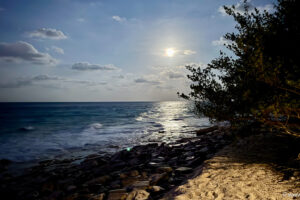 2025-11-05_18-35-21 2025-11-05_18-35-21