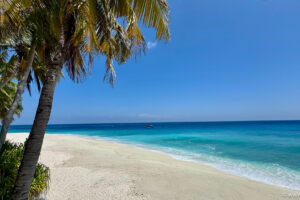 2025-11-06_11-23-22 2025-11-06_11-23-22