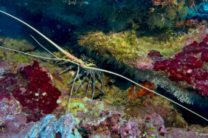 2025-11-17_21-00-34-1 2025-11-17_21-00-34-1