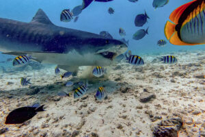 2025-11-18_08-53-11-1 2025-11-18_08-53-11-1