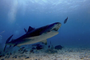 2025-11-18_08-56-50-1 2025-11-18_08-56-50-1