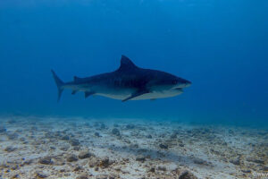 2025-11-18_10-07-44-1 2025-11-18_10-07-44-1