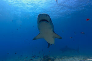 2025-11-18_10-56-00-1 2025-11-18_10-56-00-1