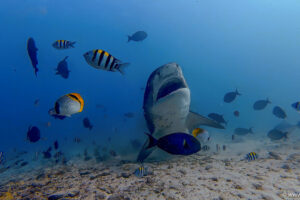 2025-11-18_13-08-20-1 2025-11-18_13-08-20-1