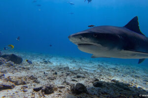 2025-11-18_14-09-15-1 2025-11-18_14-09-15-1