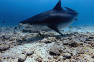 2025-11-18_14-14-35-1 2025-11-18_14-14-35-1