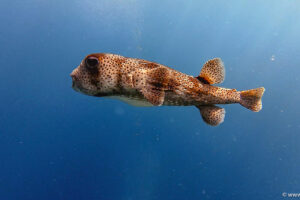 2025-11-18_14-35-45-1 2025-11-18_14-35-45-1