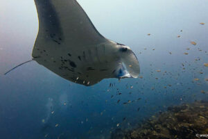 2025-11-18_14-56-00-1 2025-11-18_14-56-00-1