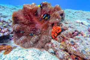 2025-11-18_15-05-31-2 2025-11-18_15-05-31-2